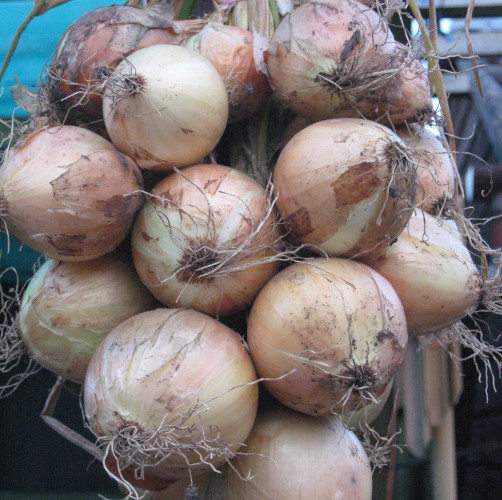 October Delivery image